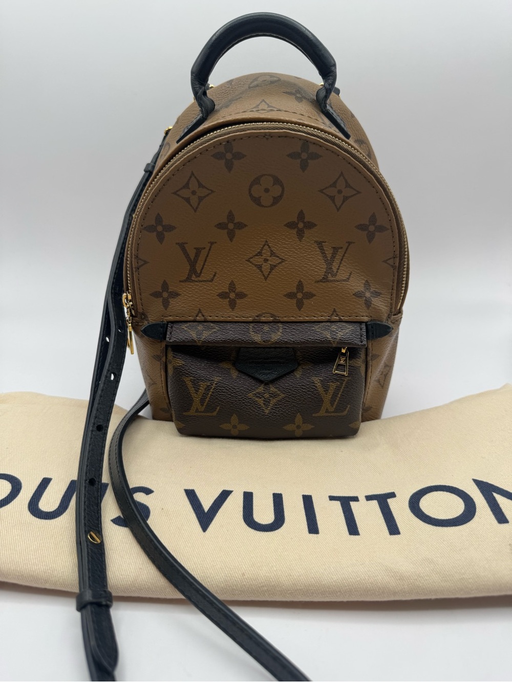 Louis Vuitton Palm Springs Mini backpack